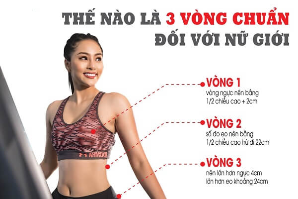 Số đo chuẩn của nữ là gì? Tiêu chí đánh giá vóc dáng đẹp nữ