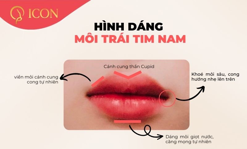 Xem tướng môi trái tim nam: vận mệnh, tính cách và làm đẹp tự nhiên